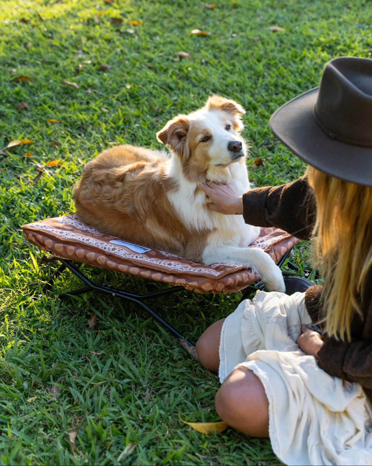 Wander Dog Bed
