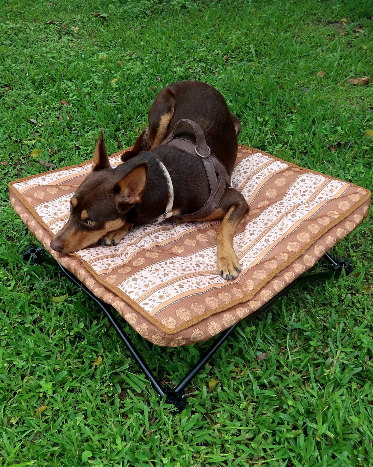 Wander Dog Bed