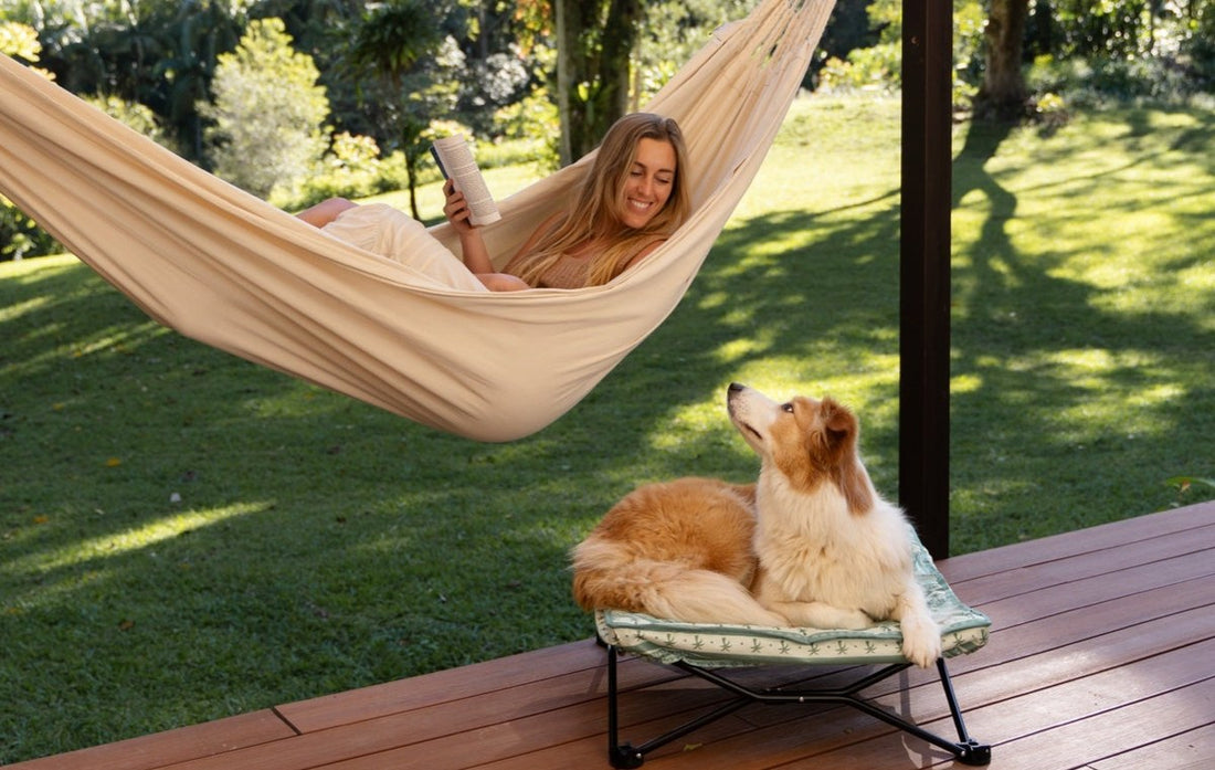 Dog resting on an Olive dog bed on the deck beside a hammock