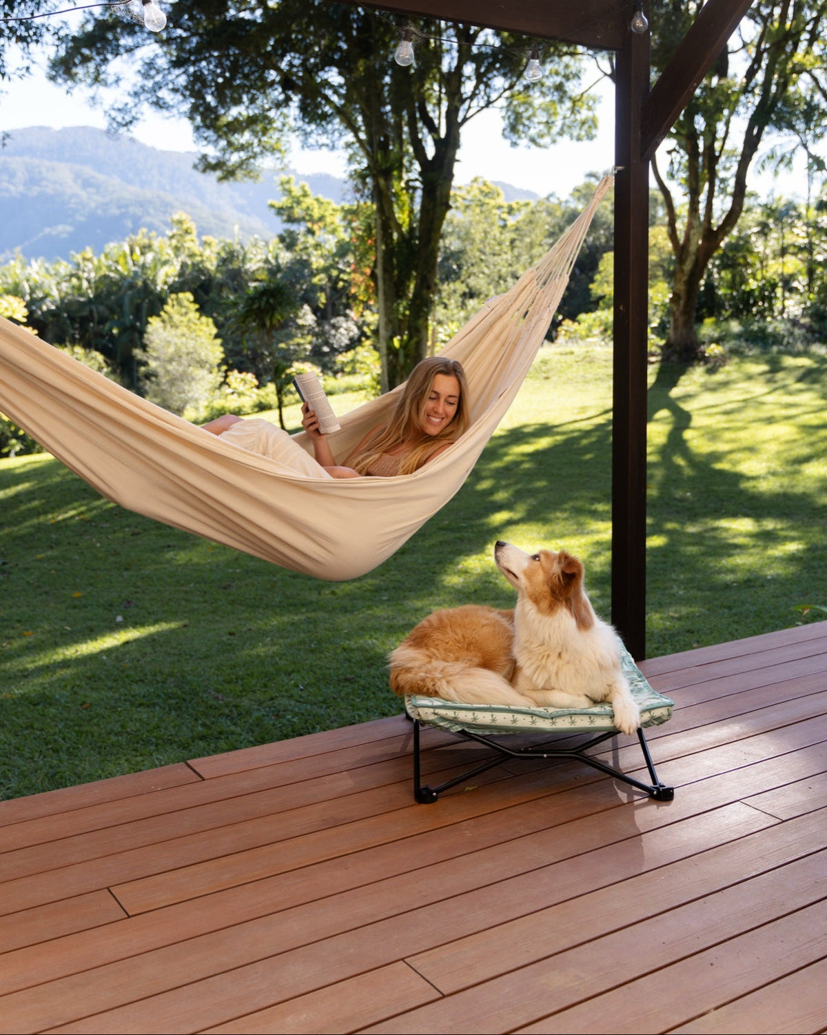 Olive Dog Bed